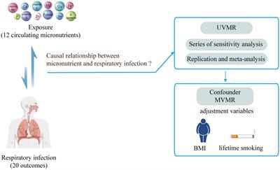 Circulating micronutrient levels and respiratory infection susceptibility and severity: a bidirectional Mendelian randomization analysis